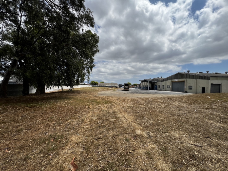 To Let commercial Property for Rent in Parow Industrial Western Cape